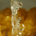 Albite