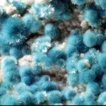 Auricalcite