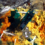 Brochantite