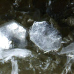 Brucite
