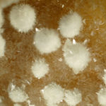 Idromagnesite