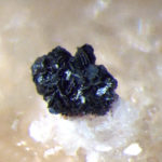Plattnerite