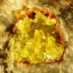 Metalodevite