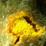 Schoepite