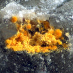 Vandendriesscheite