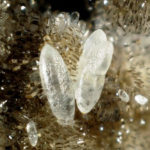 Smithsonite