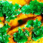 Malachite
