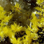 Mimetite