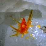 Wulfenite Piromorfite